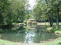 fishing pond